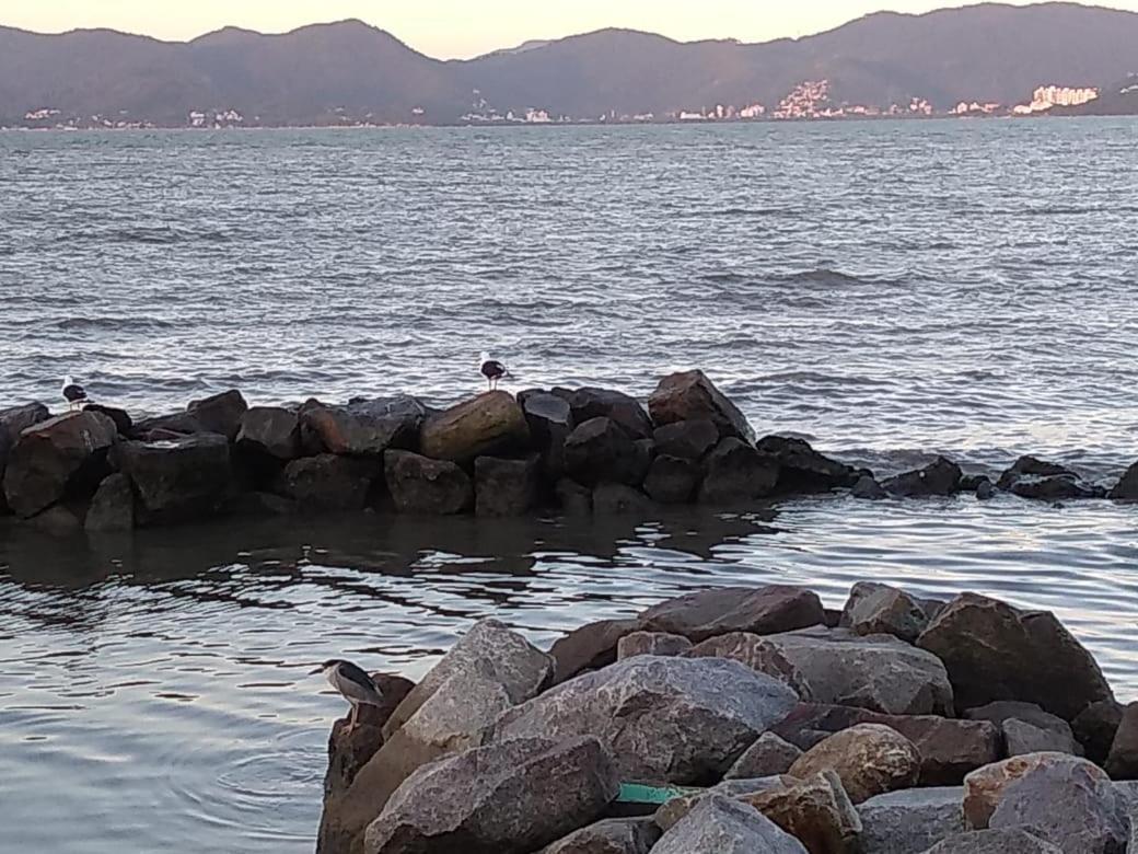 Hostel Nossa Casa Florianópolis Zewnętrze zdjęcie