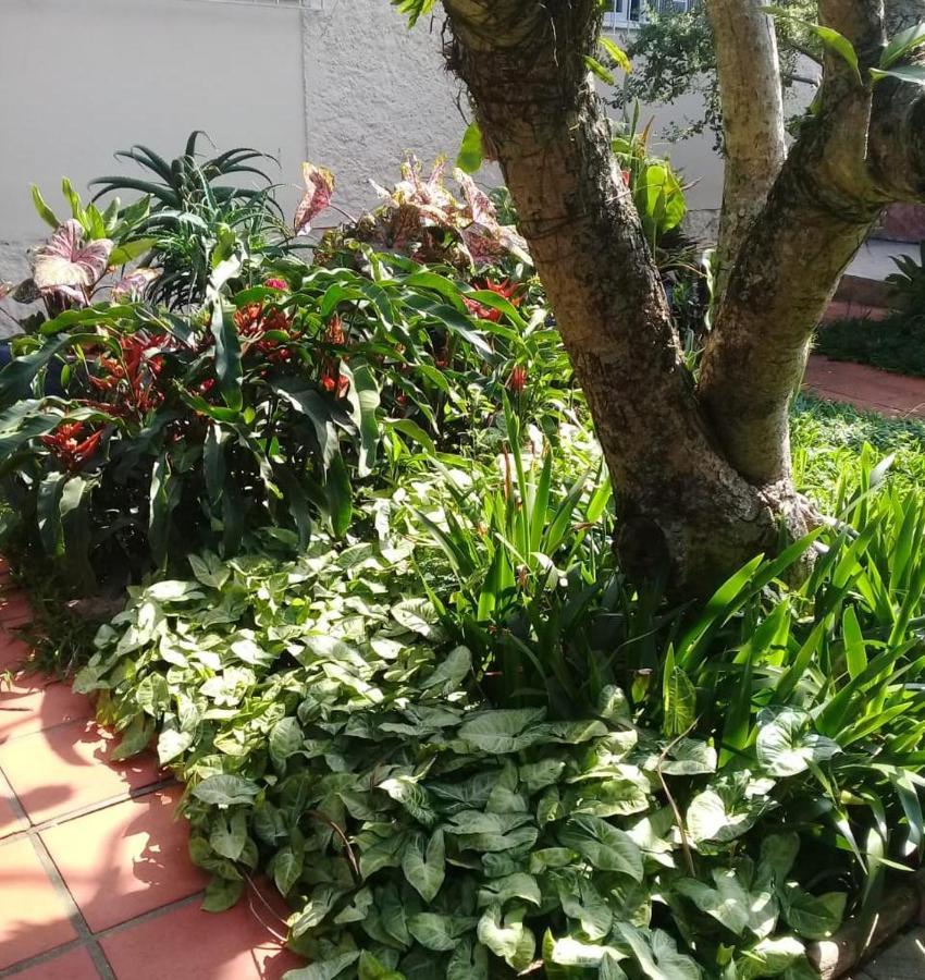 Hostel Nossa Casa Florianópolis Zewnętrze zdjęcie